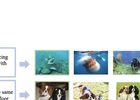 Decomposing Semantic Shifts for Composed Image Retrieval