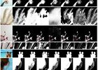 Deep Automatic Natural Image Matting