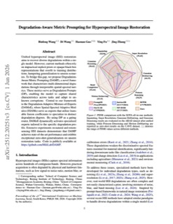 Degradation-aware Metric Prompting for Hyperspectral Image R