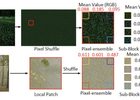 Fully Point-wise Convolutional Neural Network for Modeling S