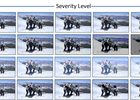 PoseBench: Benchmarking the Robustness of Pose Estimation Mo